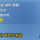 실사박사
