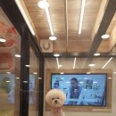 카페플랜비 네이버블로그