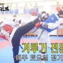 팀 화랑 태권도장 이미지