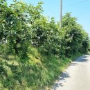 동읍스카이부동산중개사무소 이미지