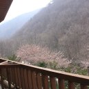민들레드론영상