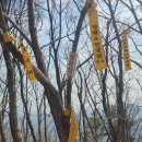 장선목장 이미지