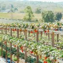 경북농약농자재할인마트 이미지