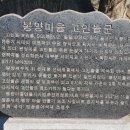 성내면 봉양 고인돌 이미지