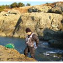 남해향촌 이미지