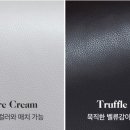 테라모나 이미지