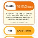 블렌즈