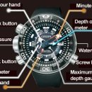 시티즌랜드 이미지