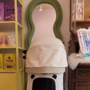 도그루아 이미지