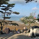 바다야또놀자 이미지