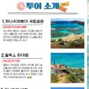 하와이 신혼여행 추천코스 하나우마베이 + 필박스 트레킹 후기 포함 완벽정리