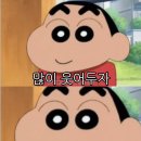 시니 이미지