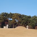 정조농장 | 정조와 수원 화성