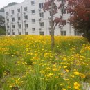 정희조 행정사 사무소 이미지