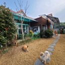 남구-166 이미지