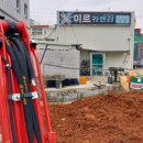 미르카센타 이미지
