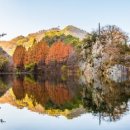 명재목장 이미지