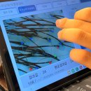 피부관리사 | 숲칼프아카데미가락센터점 페이스두피관리 후기(+피부미용사&amp;두피관리사속성코스)