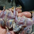 동명디앤씨 | 남양주스마트SNS모임 고구마카센타 송대표님, 탑플랜디앤씨 송대표님, 에이제이캠핑장방문 후기🤗