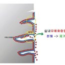 ▶[공동구매] 베이크 아웃은 이렇게 하세요! 이미지