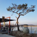 소월1리 이미지