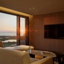 오킴스코리아 이미지