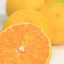 센스 생활의료기 이미지