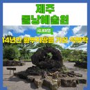 석부작 | 제주 서귀포 가볼만한곳 석부작테마파크 강아지 동반 돌낭예술원