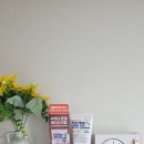 토르홉 사우난지앙 라인핏 바디스크럽 후기｜셀룰라이트 관리와 피부결 관리를 동시에