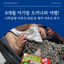 8개월 아기랑 오키나와 여행! 일본 나하공항 이유식 반입 후기 & 일본 현지 이유식 구매 후기