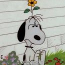 여우사람 이미지