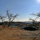 한온장군충신정문 이미지