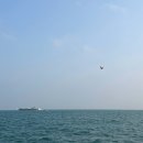 구름다리 버스정류장 | 부산 송도 요트투어 후기｜예약방법·코스 완벽 정리