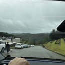 올리어린이집 | 야탑/올리떼 카페 분당메모리얼파크 인근 대형 베이커리 카페