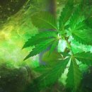 비타민전자 이미지