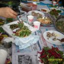 푸른솔농장2 이미지