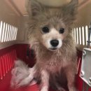 감만119안전센터 이미지