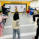 경희 현대 태권도 | [경희태권도] 2026년 새해 특별훈련