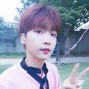 포뇨