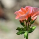 번역공증대행 - 마포구 양화로15안길 19 | 번역공증대행
