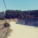 석현마을 건너편 이미지