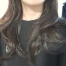 EGF 성분 함유 미용실 전문 샴푸 헤어샵 전문 디자이너 샴푸 클로클 5.5 이지필 부스팅 샴푸
