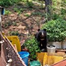 울산농장 이미지