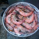 (주)양달말 네이버블로그