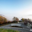 보청천 옥천-13 뉴스1