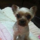 구월1동-7 이미지