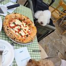 (주)제노필 | 경의선숲길 맛집 카밀드 벚꽃스팟 추천(애견동반 가능)