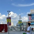 사랑했던 여름아