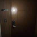 서귀동-25 이미지