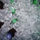 팔레스하우스